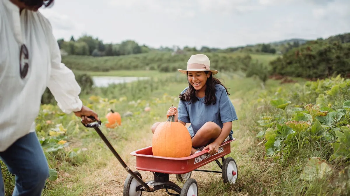 Cómo elegir la calabaza perfecta y mantenerla fresca hasta Halloween
